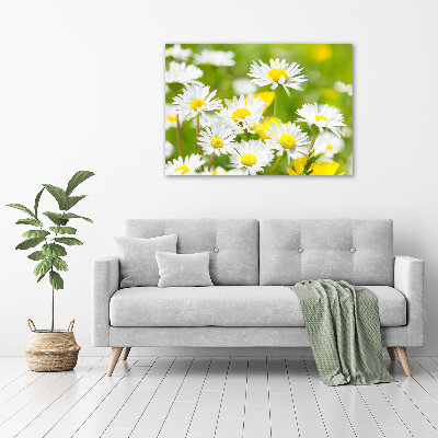 Acrylique tableau Marguerite