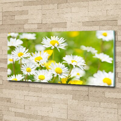 Tableau en acrylique marguerites