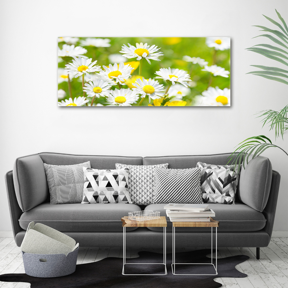 Tableau en acrylique marguerites