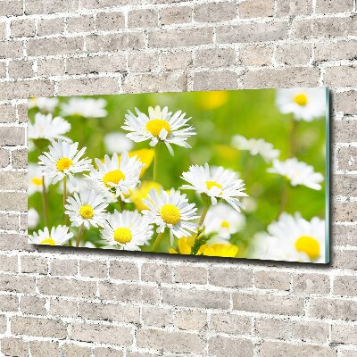 Tableau en acrylique marguerites