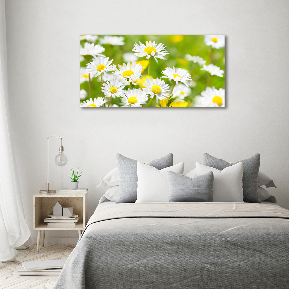 Tableau en acrylique marguerites