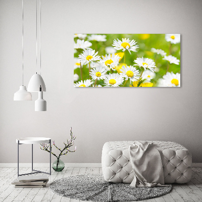 Tableau en acrylique marguerites