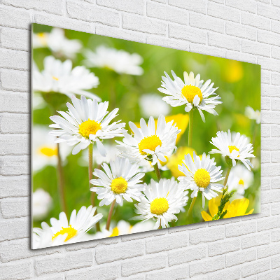 Tableau en acrylique marguerites