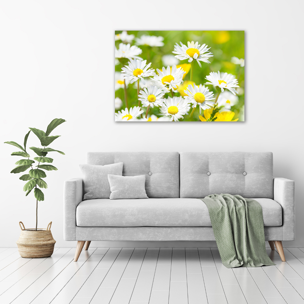 Tableau en acrylique marguerites