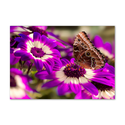 Tableau sur verre acrylique Papillon sur une fleur