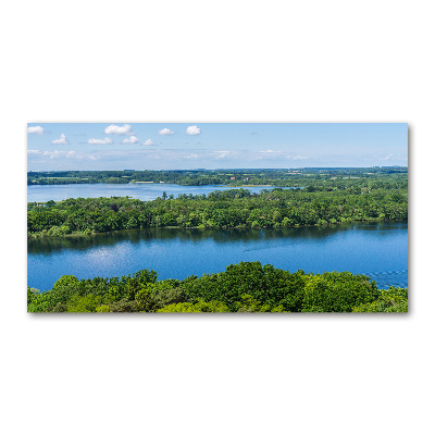 Tableau en acrylique Forêt de bord de lac