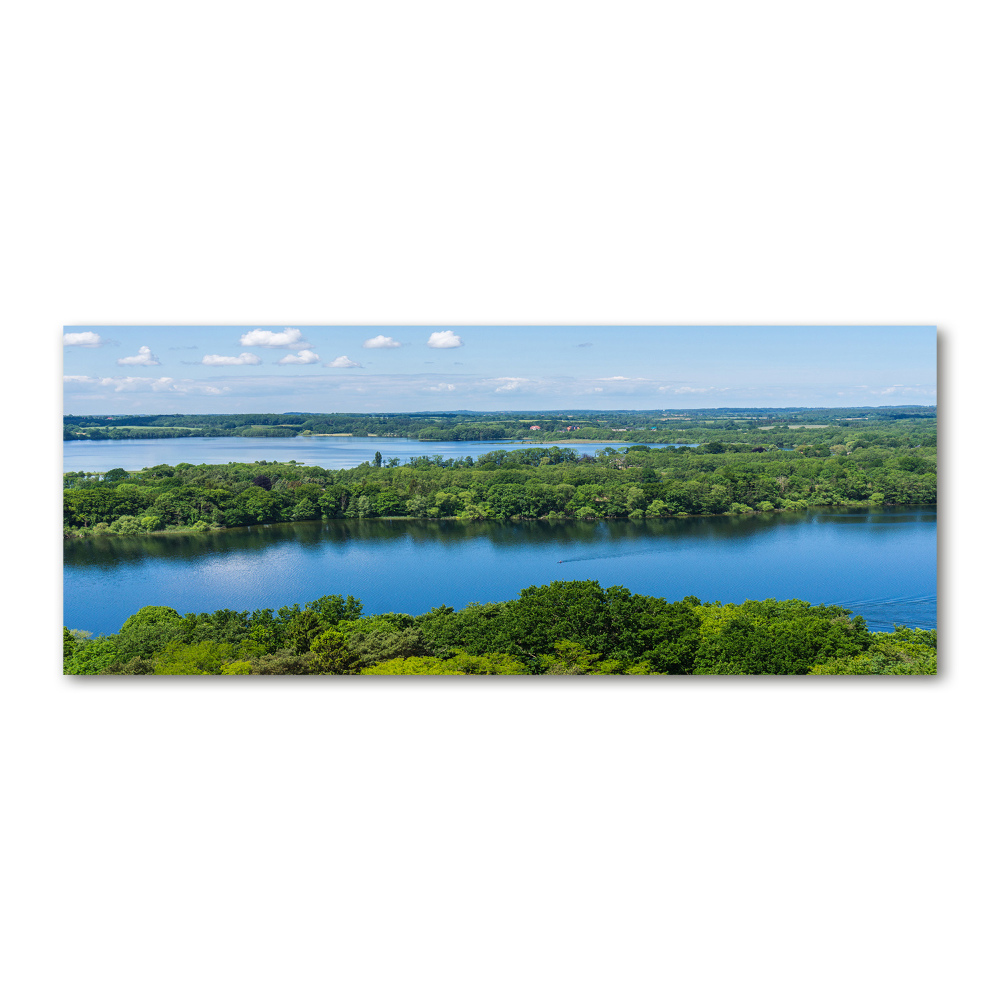 Tableau en acrylique Forêt de bord de lac