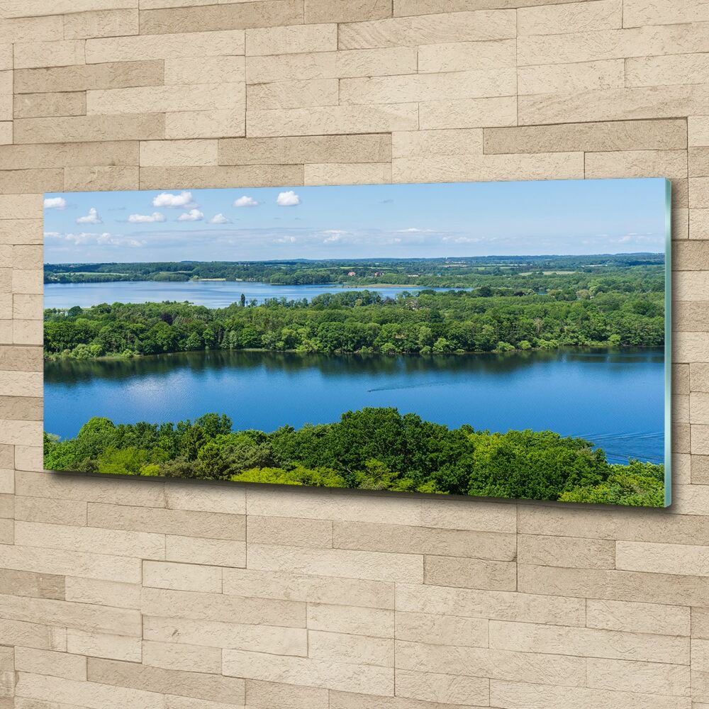 Tableau en acrylique Forêt de bord de lac