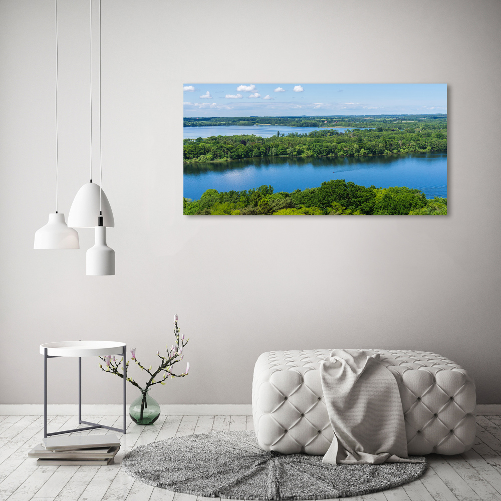 Tableau en acrylique Forêt de bord de lac