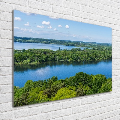 Tableau en acrylique Forêt de bord de lac