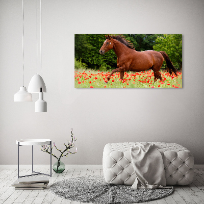 Tableau verre acrylique Cheval dans un champ de coquelicots