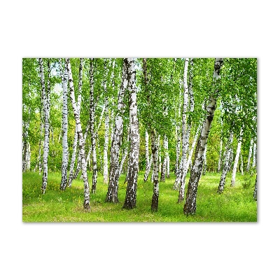 Tableau verre acrylique Forêt de bouleaux