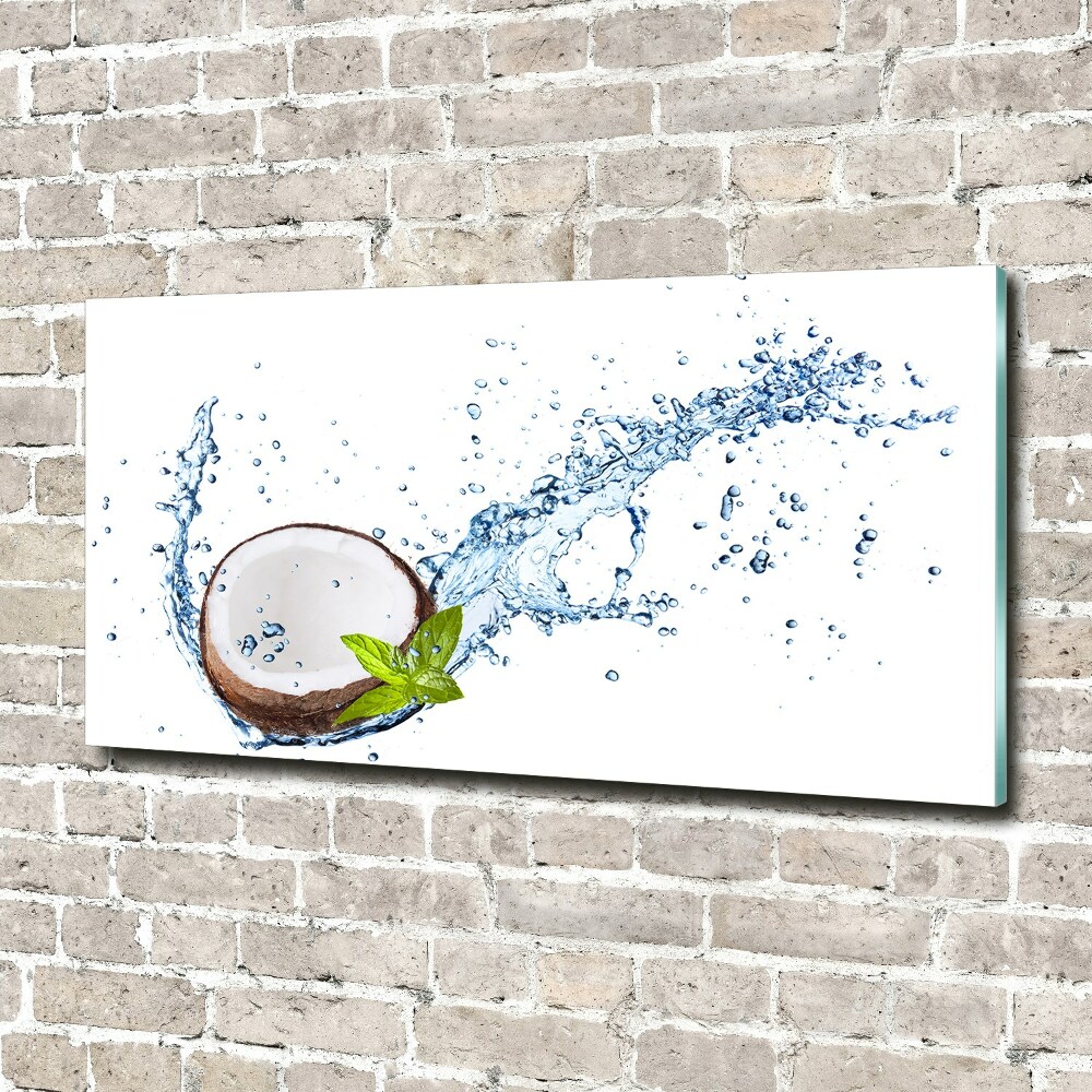 Tableau acrylique Noix de coco et eau