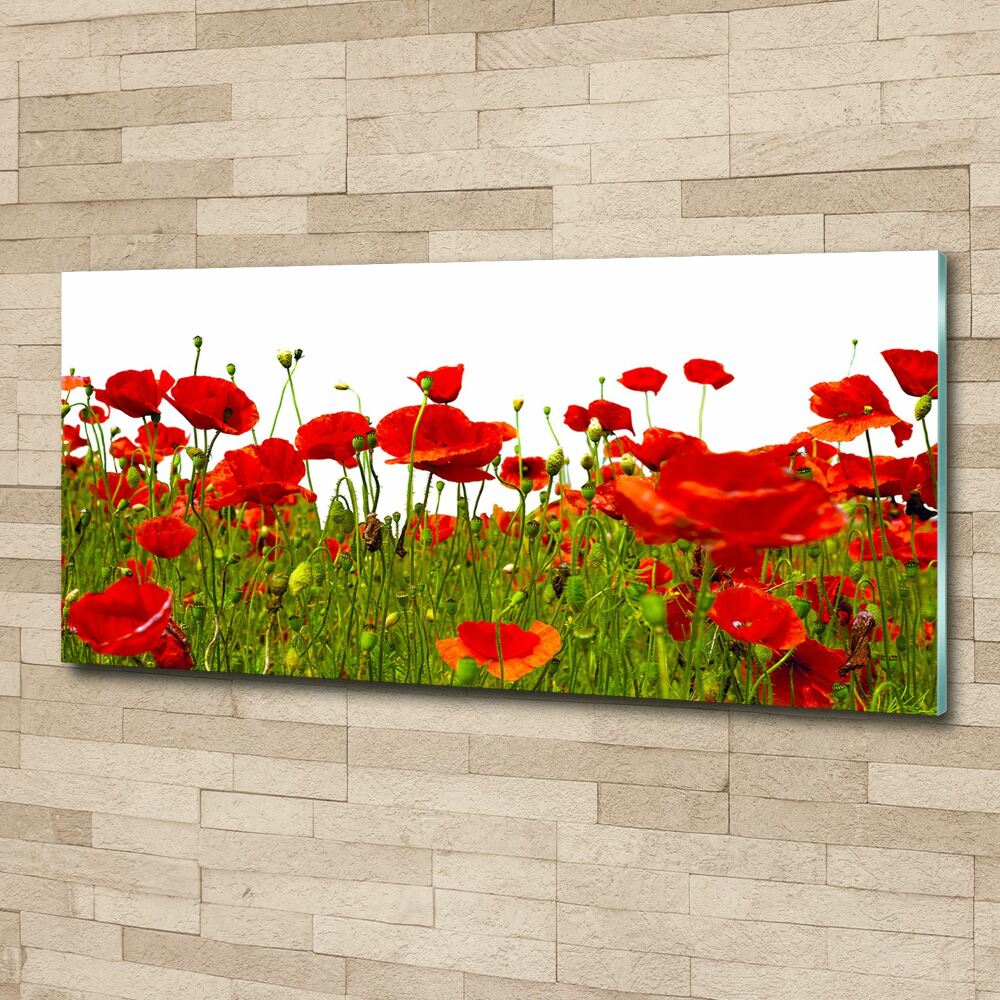 Acrylique tableau Coquelicots des champs