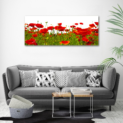 Acrylique tableau Coquelicots des champs