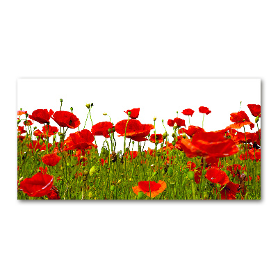 Acrylique tableau Coquelicots des champs