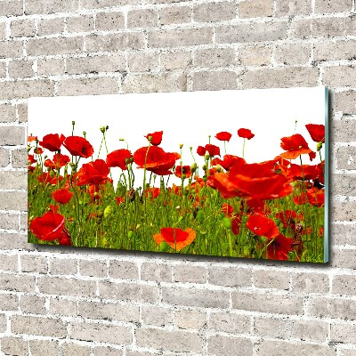 Acrylique tableau Coquelicots des champs