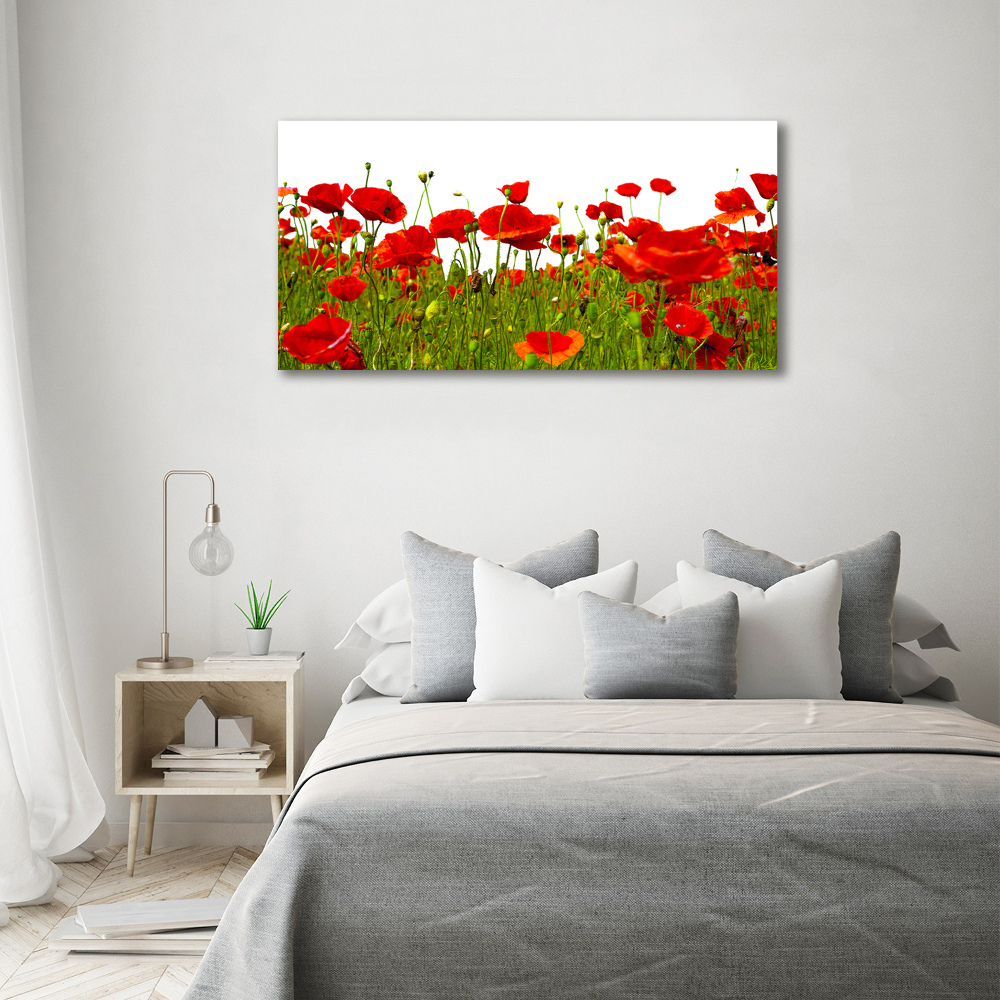 Acrylique tableau Coquelicots des champs