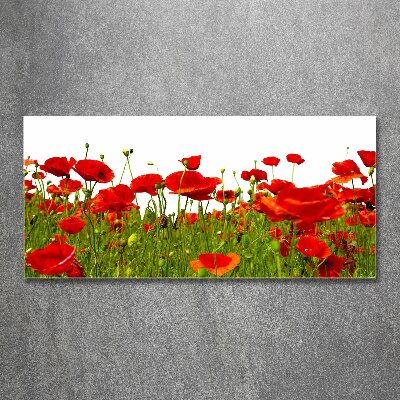 Acrylique tableau Coquelicots des champs