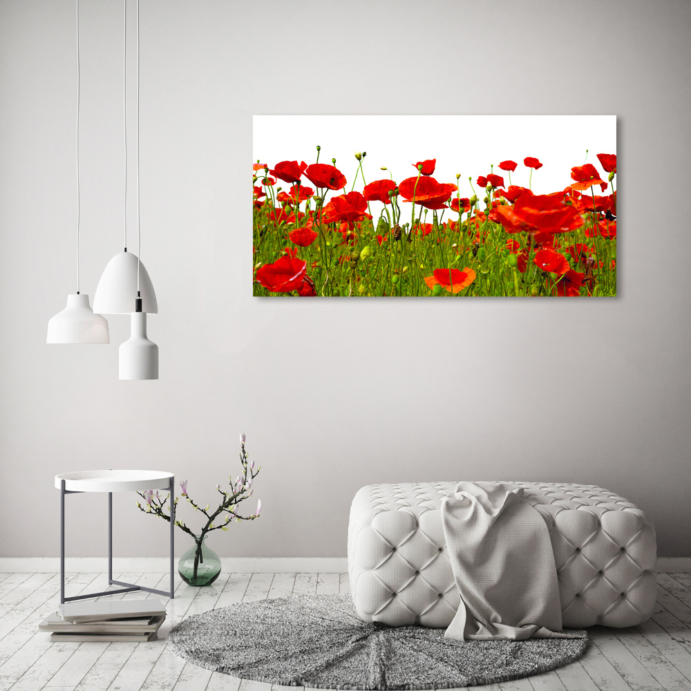 Acrylique tableau Coquelicots des champs