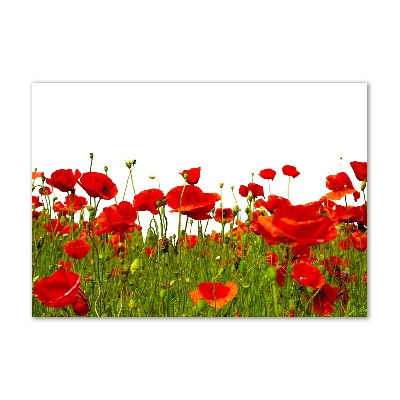 Acrylique tableau Coquelicots des champs