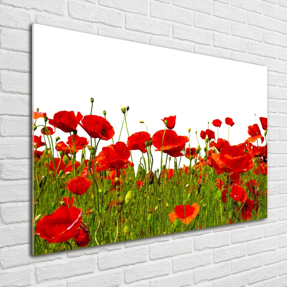 Acrylique tableau Coquelicots des champs