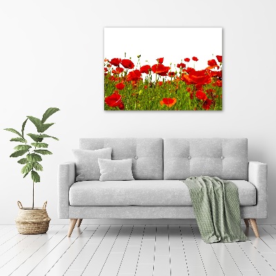 Acrylique tableau Coquelicots des champs