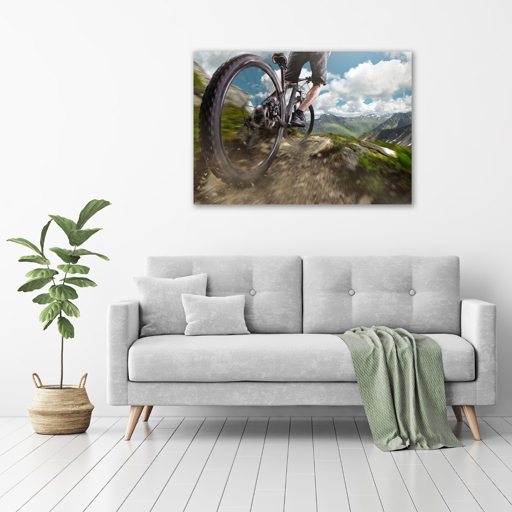 Tableau en acrylique Vélo de montagne