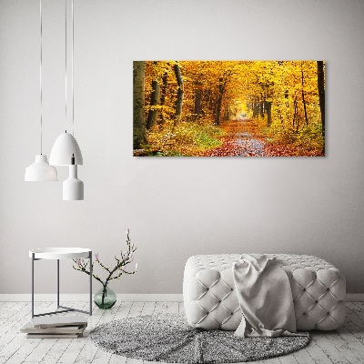 Tableau sur verre acrylique Forêt d'automne