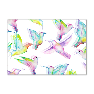 Acrylique tableau Colibris