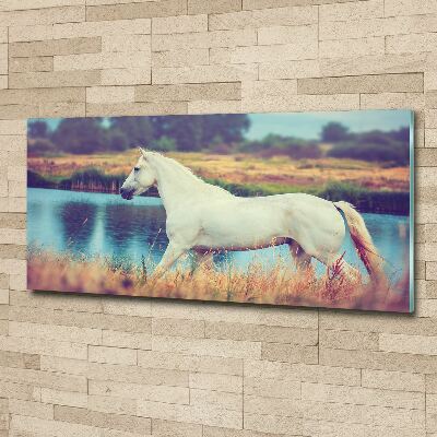 Tableau acrylique Cheval blanc lac