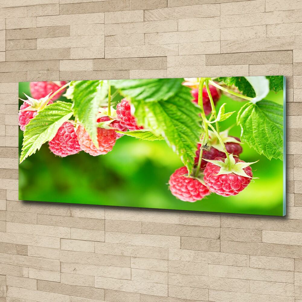 Tableau verre acrylique Framboises dans le jardin