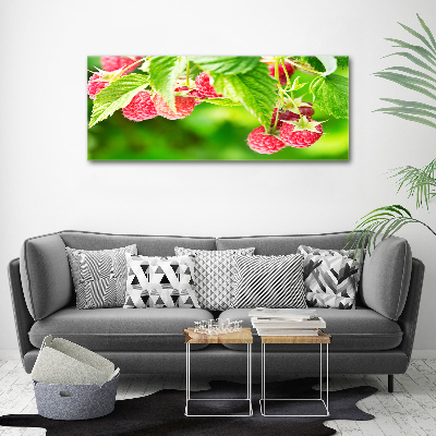 Tableau verre acrylique Framboises dans le jardin