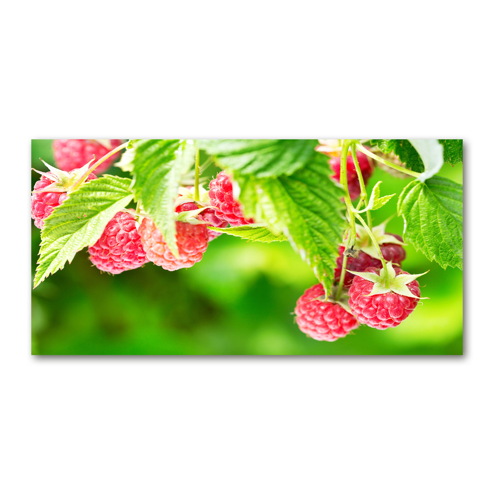 Tableau verre acrylique Framboises dans le jardin