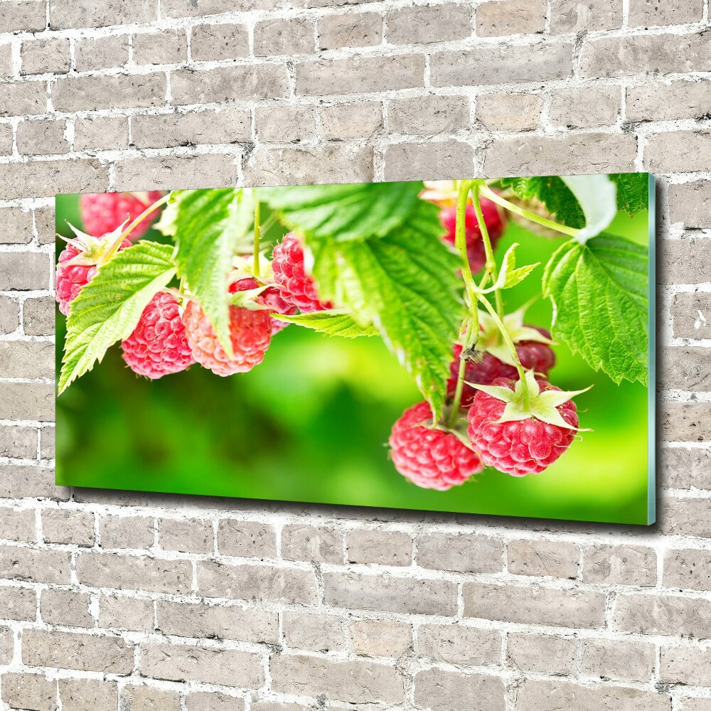 Tableau verre acrylique Framboises dans le jardin