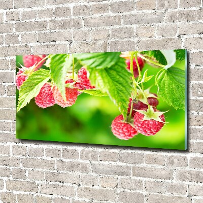 Tableau verre acrylique Framboises dans le jardin