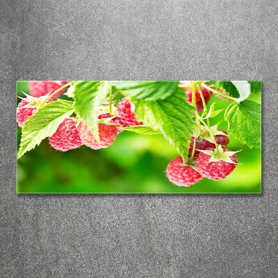 Tableau verre acrylique Framboises dans le jardin