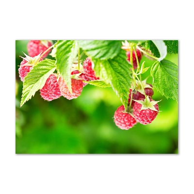 Tableau verre acrylique Framboises dans le jardin