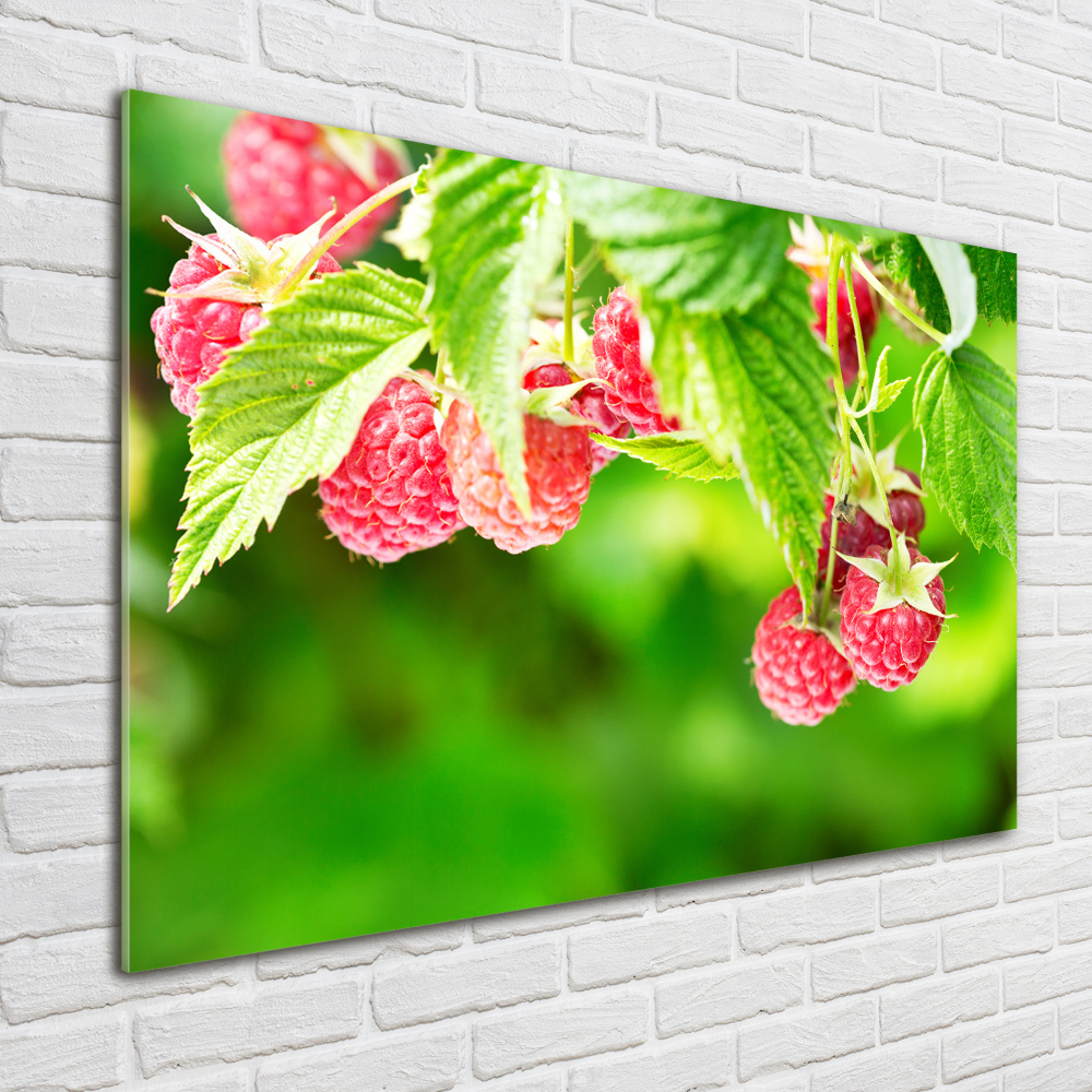 Tableau verre acrylique Framboises dans le jardin