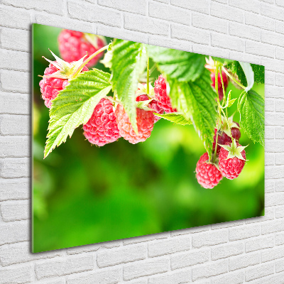 Tableau verre acrylique Framboises dans le jardin