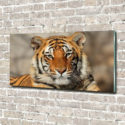 Acrylique tableau Tigre du Bengale