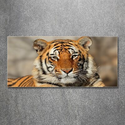 Acrylique tableau Tigre du Bengale