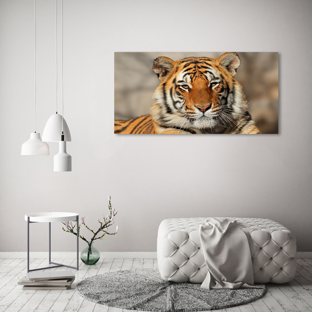 Acrylique tableau Tigre du Bengale