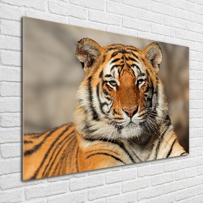 Acrylique tableau Tigre du Bengale