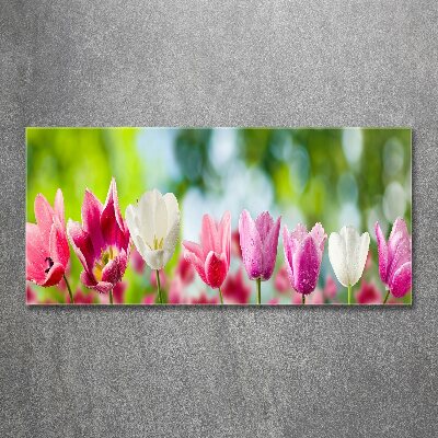 Acrylique tableau Tulipes