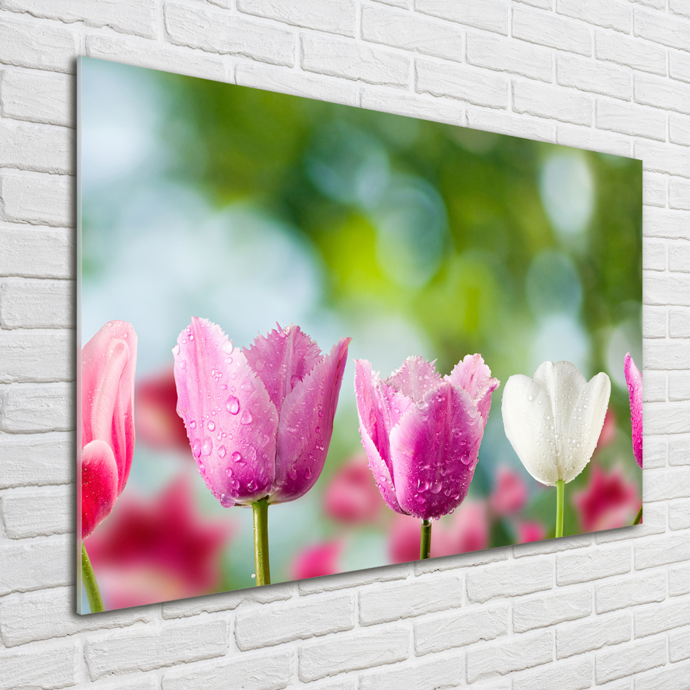 Acrylique tableau Tulipes