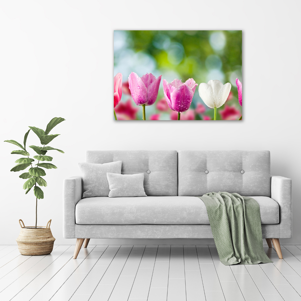 Acrylique tableau Tulipes