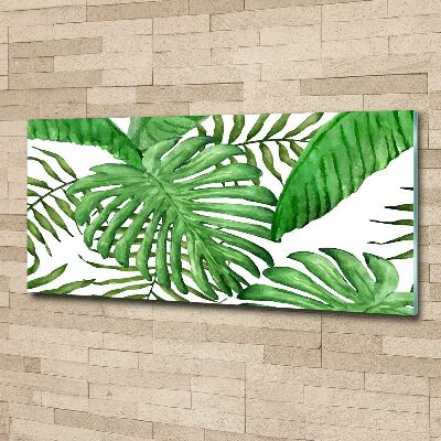 Acrylique tableau Feuilles tropicales vertes