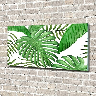 Acrylique tableau Feuilles tropicales vertes