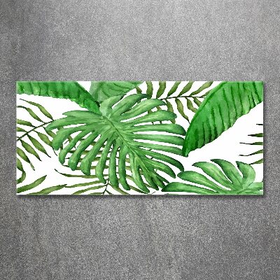 Acrylique tableau Feuilles tropicales vertes